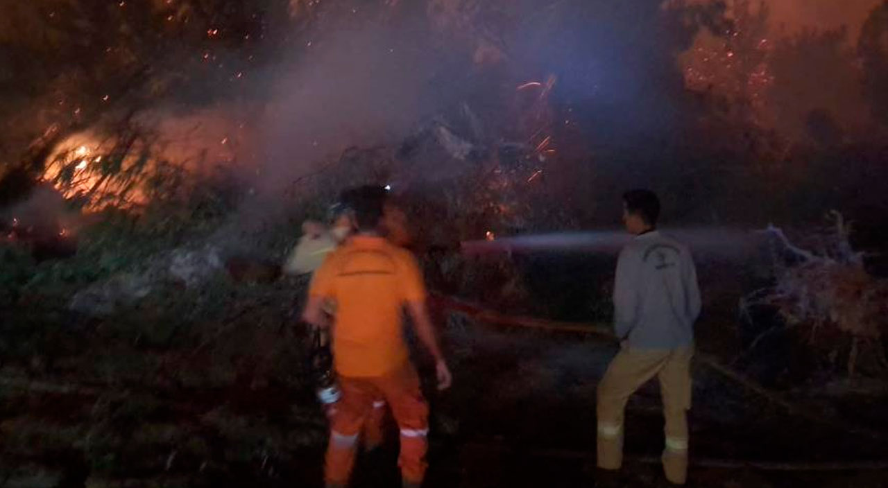 Manisa'da orman yangını: 12 saat sonra kontrol altına alındı