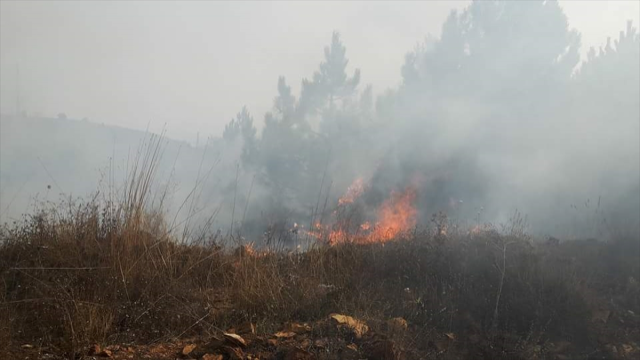 Yangına ilk müdahale Vali Yurtnaç'tan