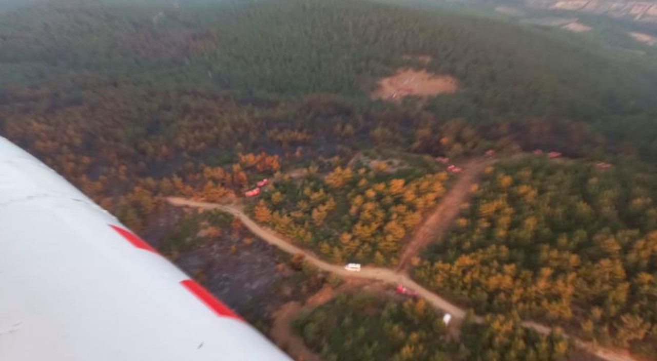 Manisa'da orman yangını: 12 saat sonra kontrol altına alındı