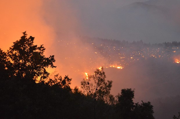 İzmir'deki yangın saatlerdir devam ediyor