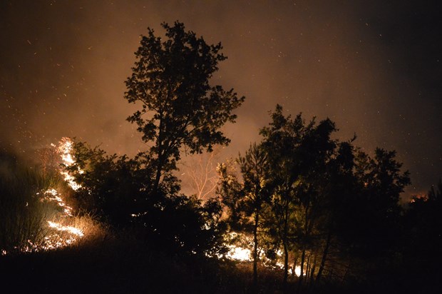 İzmir'deki yangın saatlerdir devam ediyor