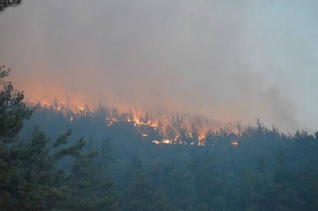 İzmir'deki yangın saatlerdir devam ediyor