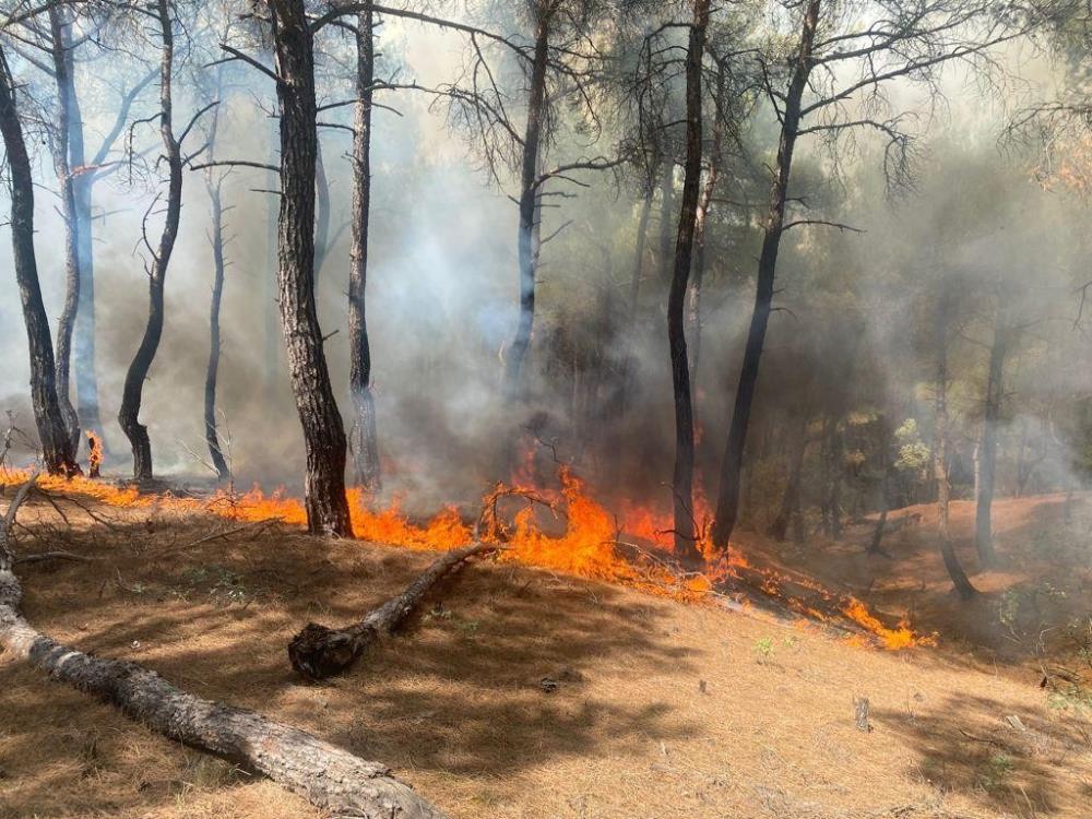Uşak’ta çıkan yangın kontrol altına alındı