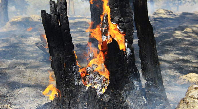 Bayram tatilinde ciğerimiz yandı