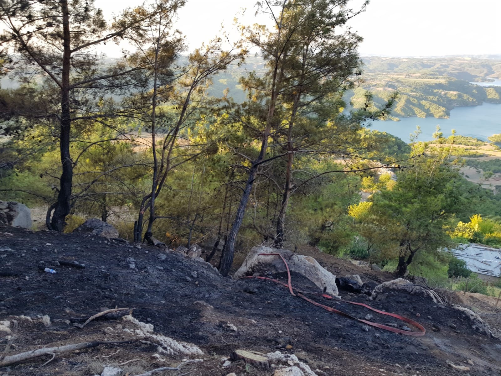 Bir yangın daha! 0.5 hektar kızılçam ormanlık alan küle döndü...