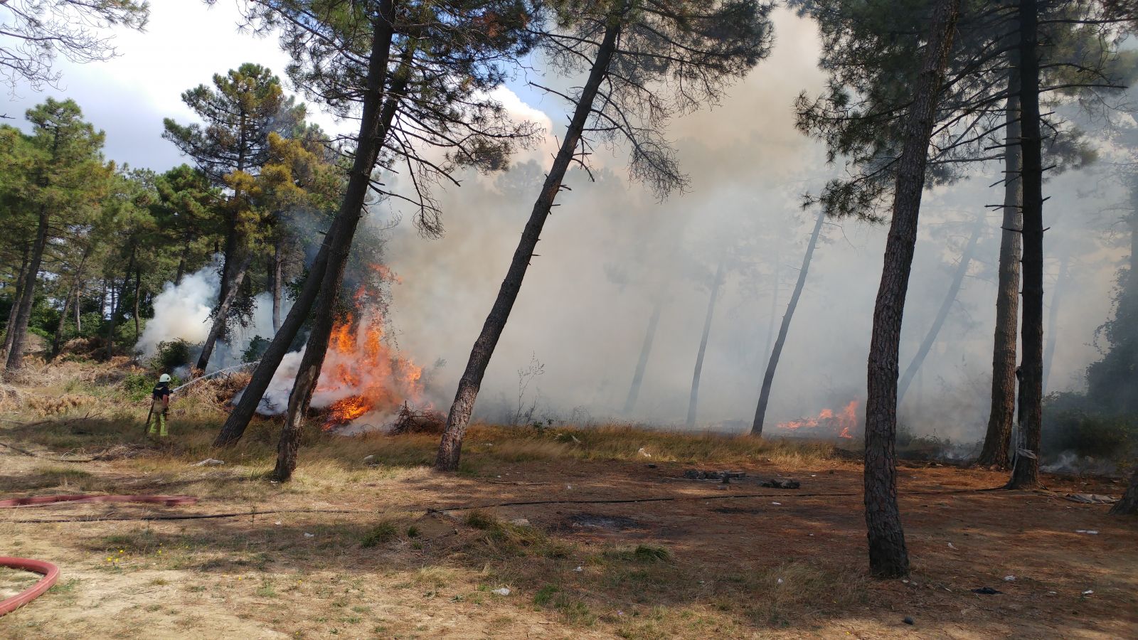 Arnavutköy’de ormanlık alanlık alanda yangın