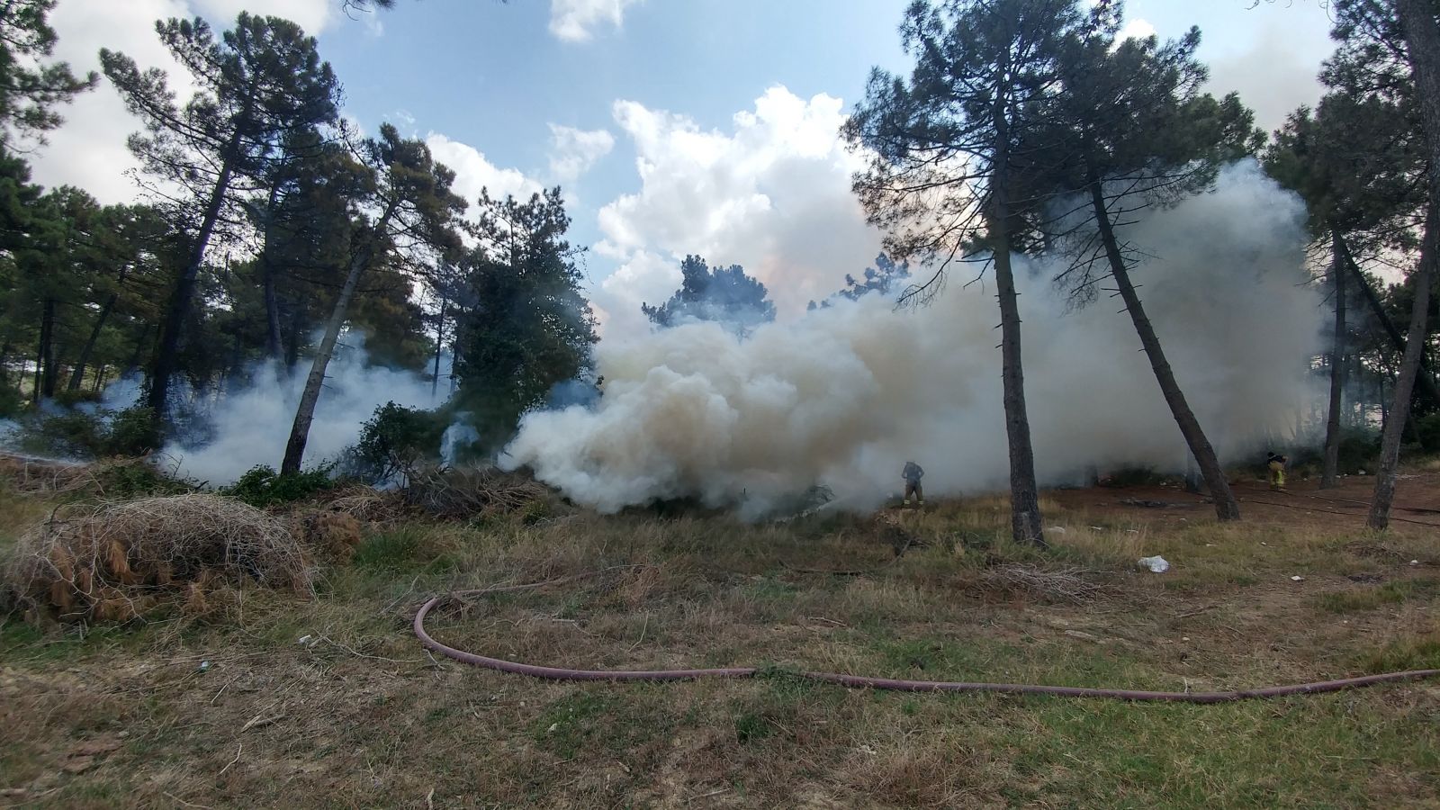 Arnavutköy’de ormanlık alanlık alanda yangın