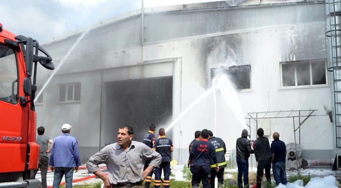 Deri fabrikasında feci yangın