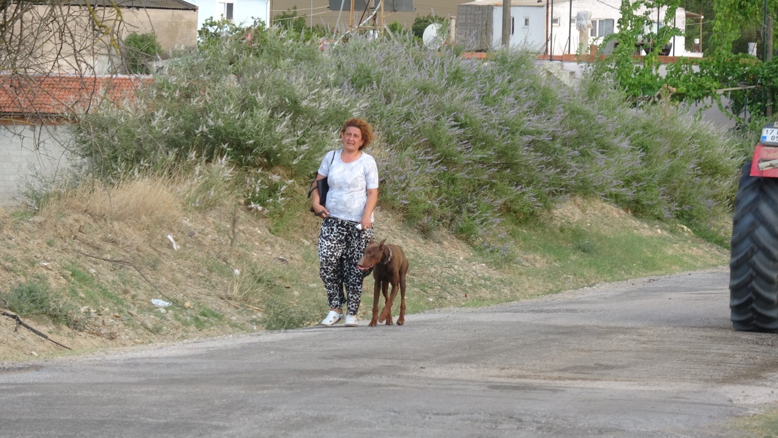 Gelibolu Tarihi Yarımadası'ndaki yangın sebebiyle Çanakkale'de 3 köy boşaltıldı