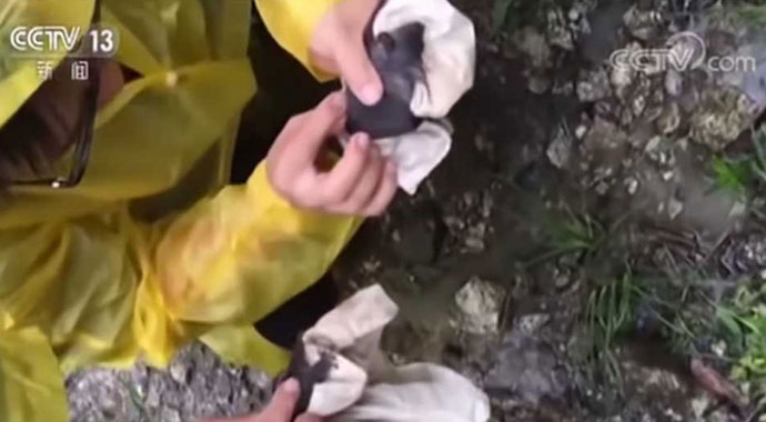 Wuhan'da yarasaların uzmanları ısırdığı anlar ortaya çıktı