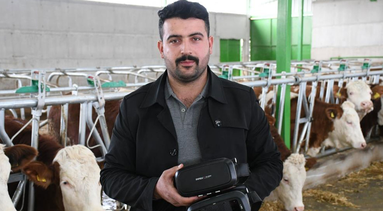 Sanal gözlükler ineklerde süt verimliliği arttırıyor