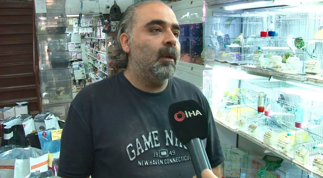 Petshoplara verilen bir yıllık süre doldu: Vitrinlerde kedi ve köpek satış yasağı resmen başladı