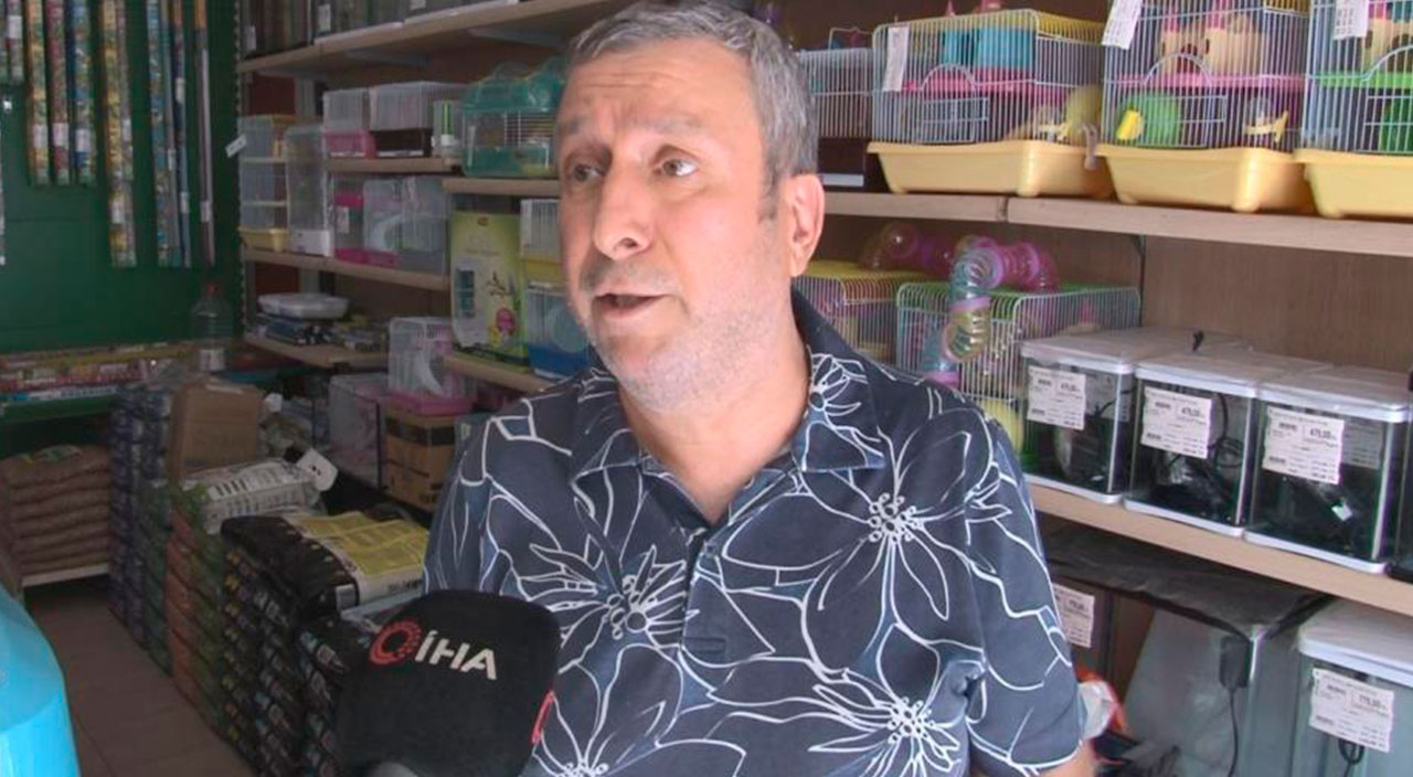 Petshoplara verilen bir yıllık süre doldu: Vitrinlerde kedi ve köpek satış yasağı resmen başladı