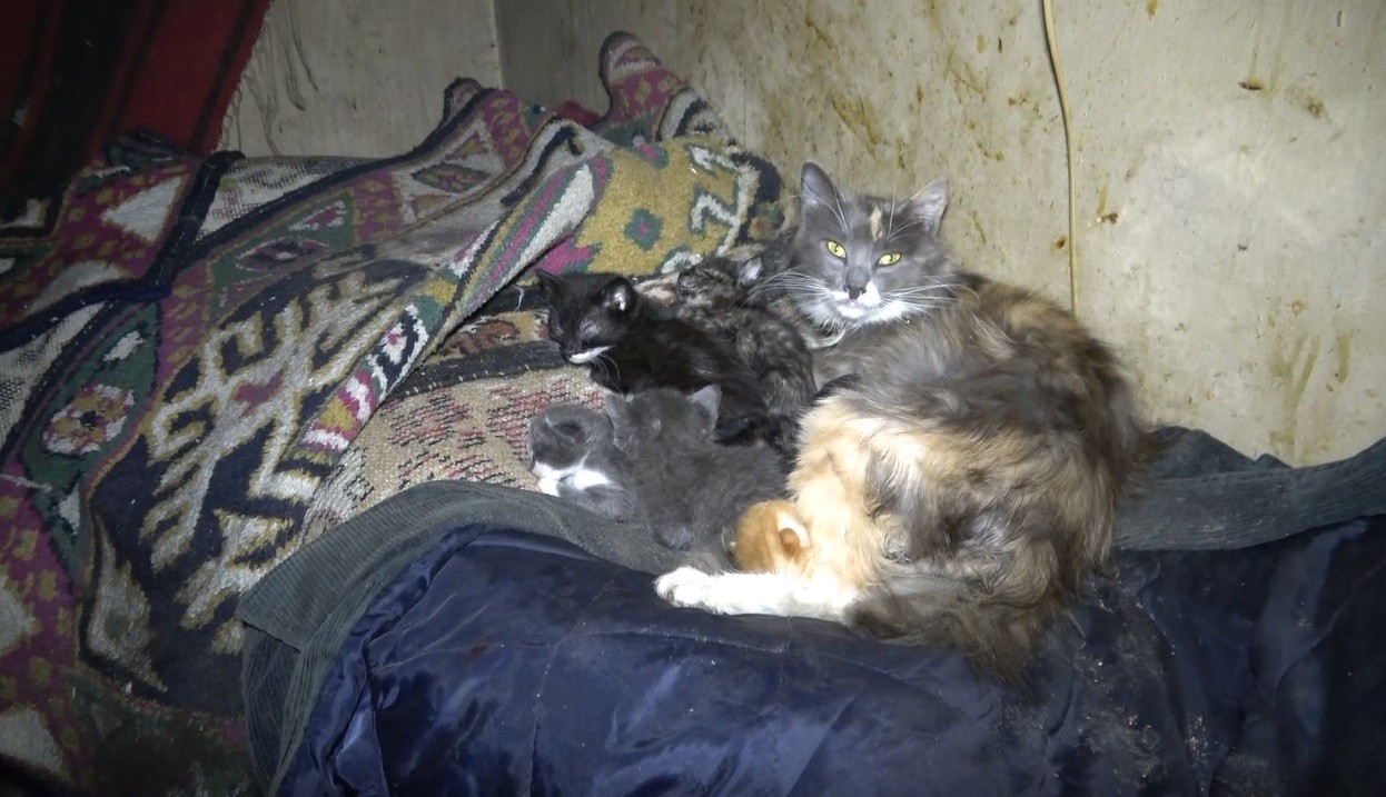 Öyle bir yerde kalıyor ki görenlerin içi acıyor