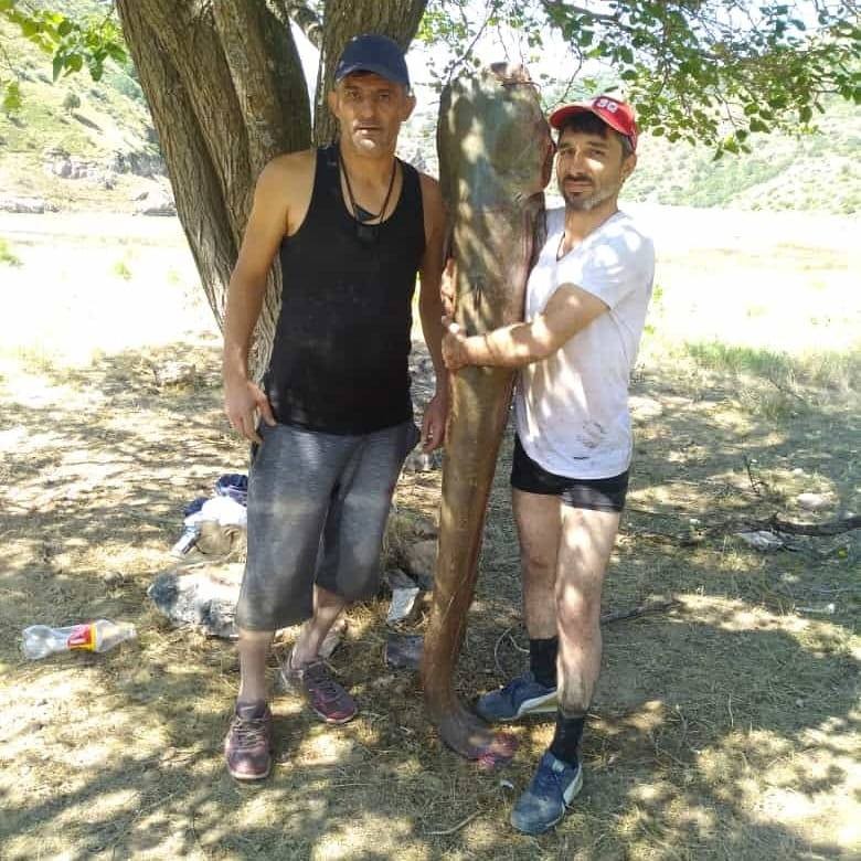 63 kiloluk dev yayın balığını olta ile yakaladılar