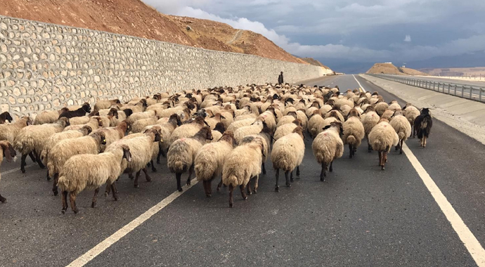 Göçerlerin zorlu dönüş yolculuğu başladı