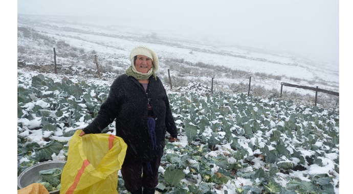 Yaylalar beyaza büründü