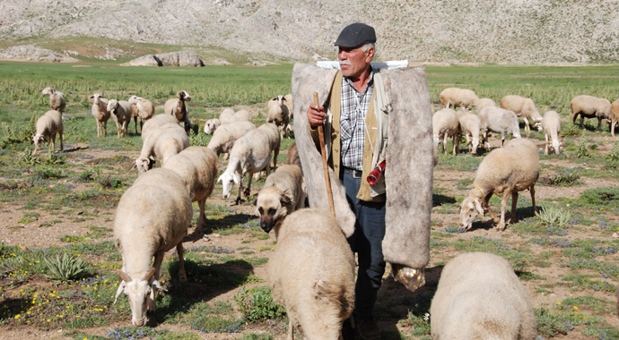 Antalya'da yörüklerin yayladan dönüşü başladı
