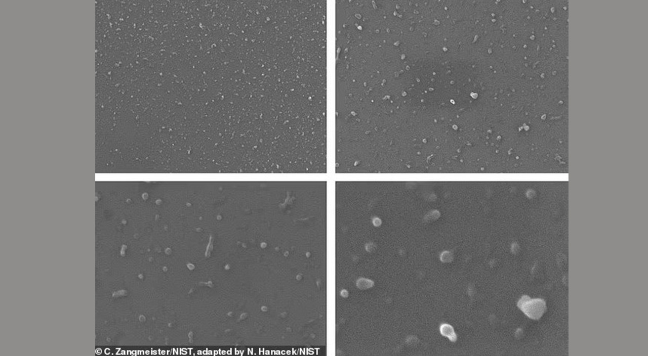 Yediğimiz balıklar zehir olabilir! Uzmanlar uyardı: Deniz canlıları bunları besin olarak algılıyor - 2. Resim