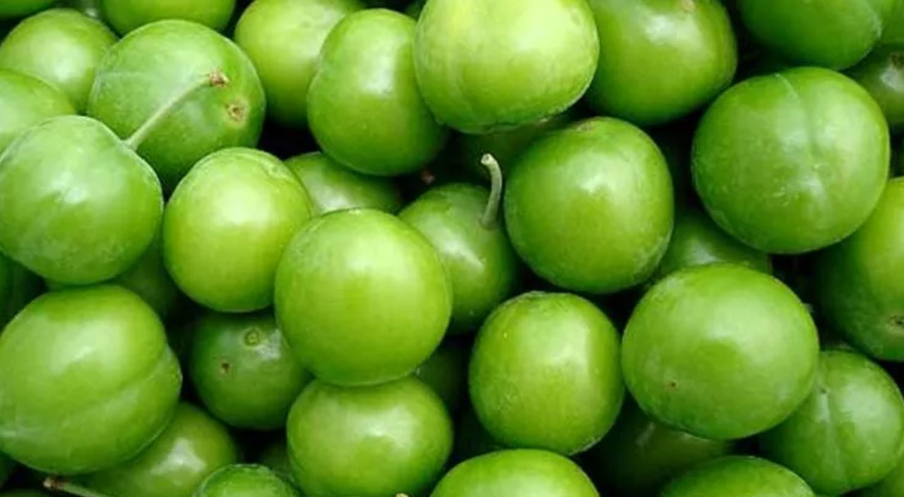 Yıllardır yanlış yapıyoruz: Eriği böyle yemeyin, sağlığınızla oynamayın