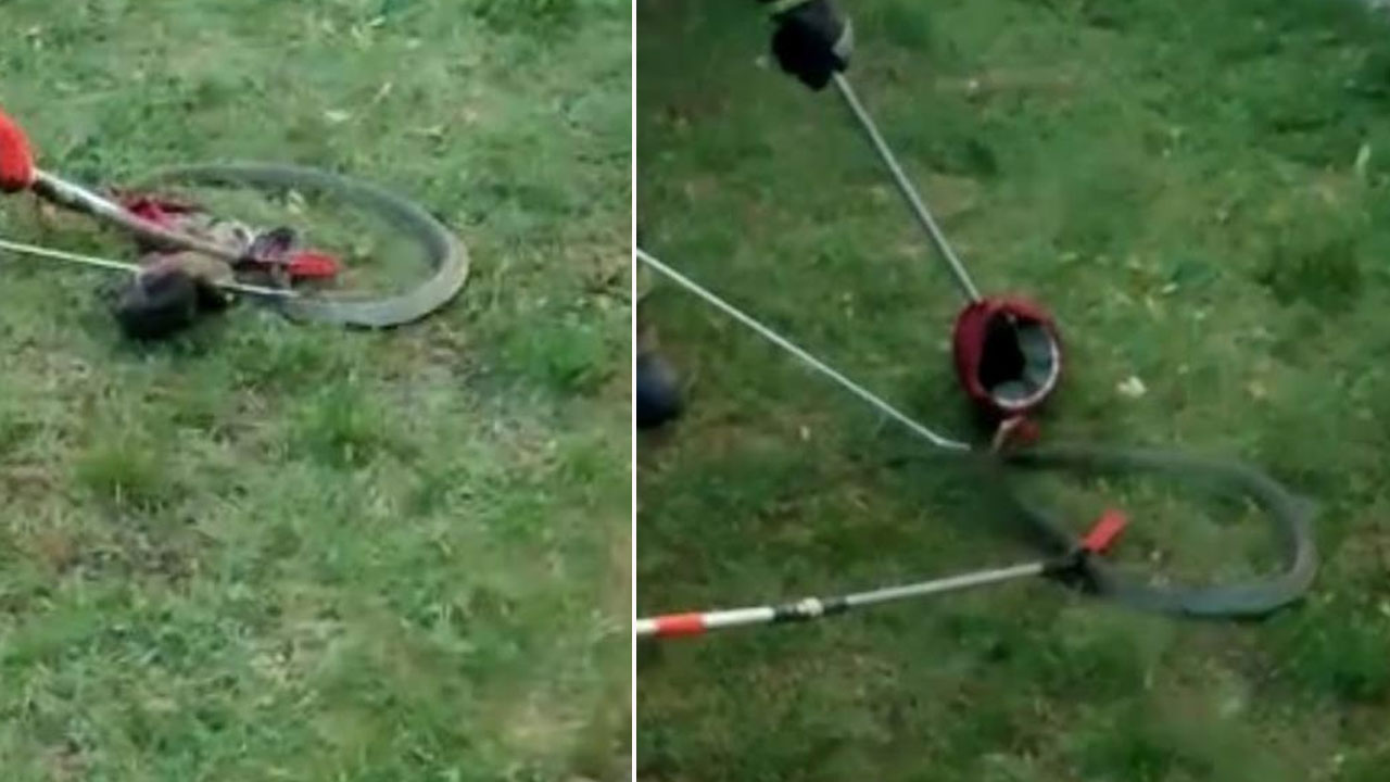 Şehrin ortasındaki sitede yılan paniği: Tam 1,5 metre...