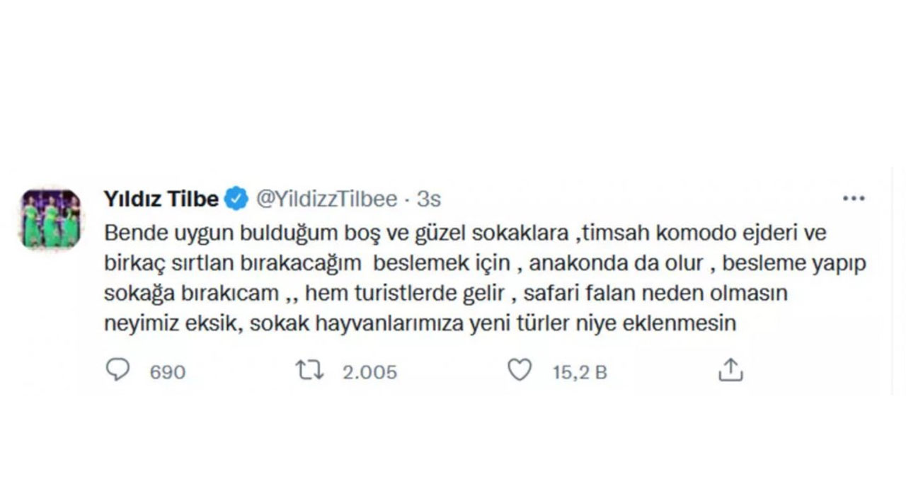 Yıldız Tilbe kendisini eleştirenleri ti’ye aldı: Sokaklara, timsah, komodo ejderi ve sırtlan bırakacağım