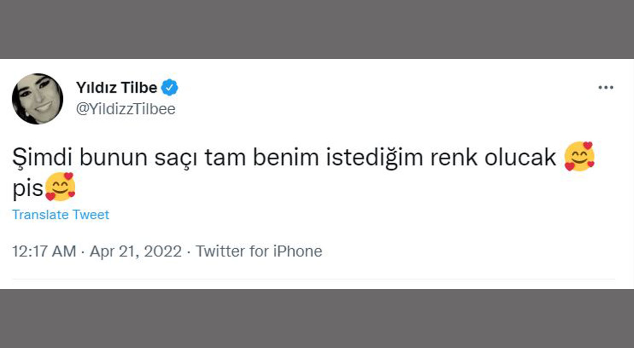 Yıldız Tilbe yine yaptı yapacağını… Kedisinin tüylerini boyayan şarkıcı sosyal medyayı ayağa kaldırdı