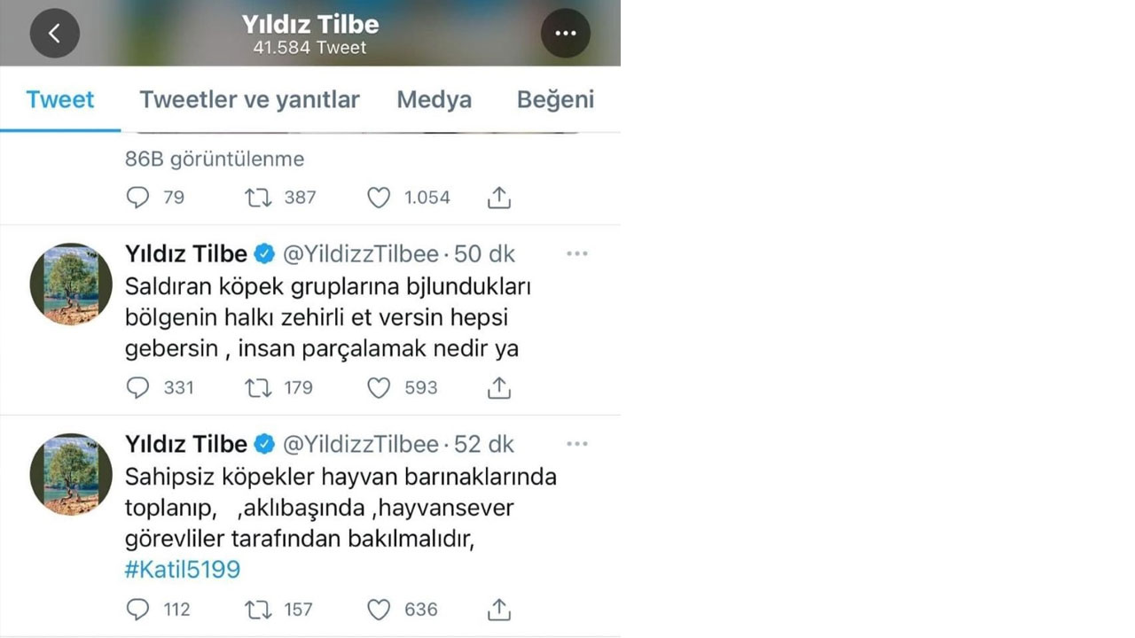 Yıldız Tilbe'ye kötü haber: Attığı tweet başını yaktı! Yıldız Tilbe'ye kötü haber: Attığı tweet başını yaktı!