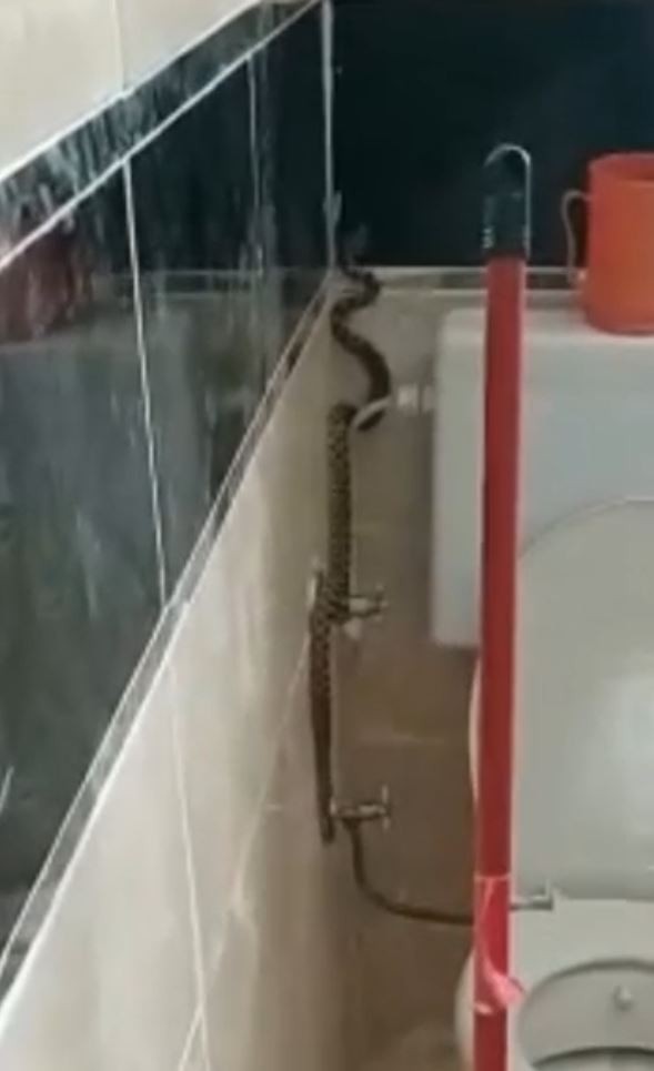 Yüzünü yıkamak için banyoya giden adam hayatının şokunu yaşadı