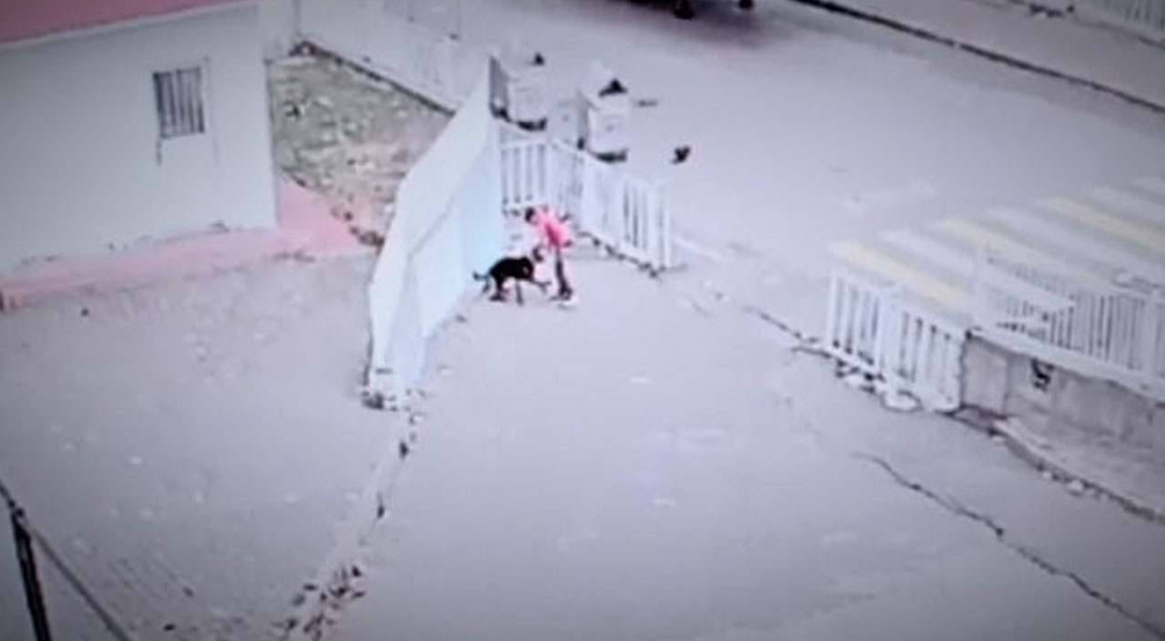 Köpeğin saldırısına uğrayan çocuğu okul güvenliği kurtardı