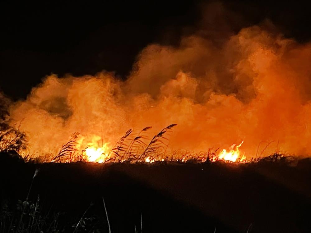 İznik Gölü kıyısında yangın! 20 dönüm alan küle döndü
