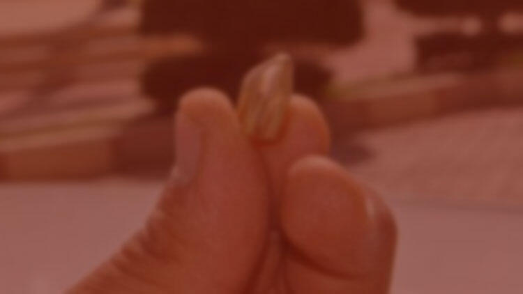 Kanlar içinde yere yığıldı... Yorgun mermi öldürdü