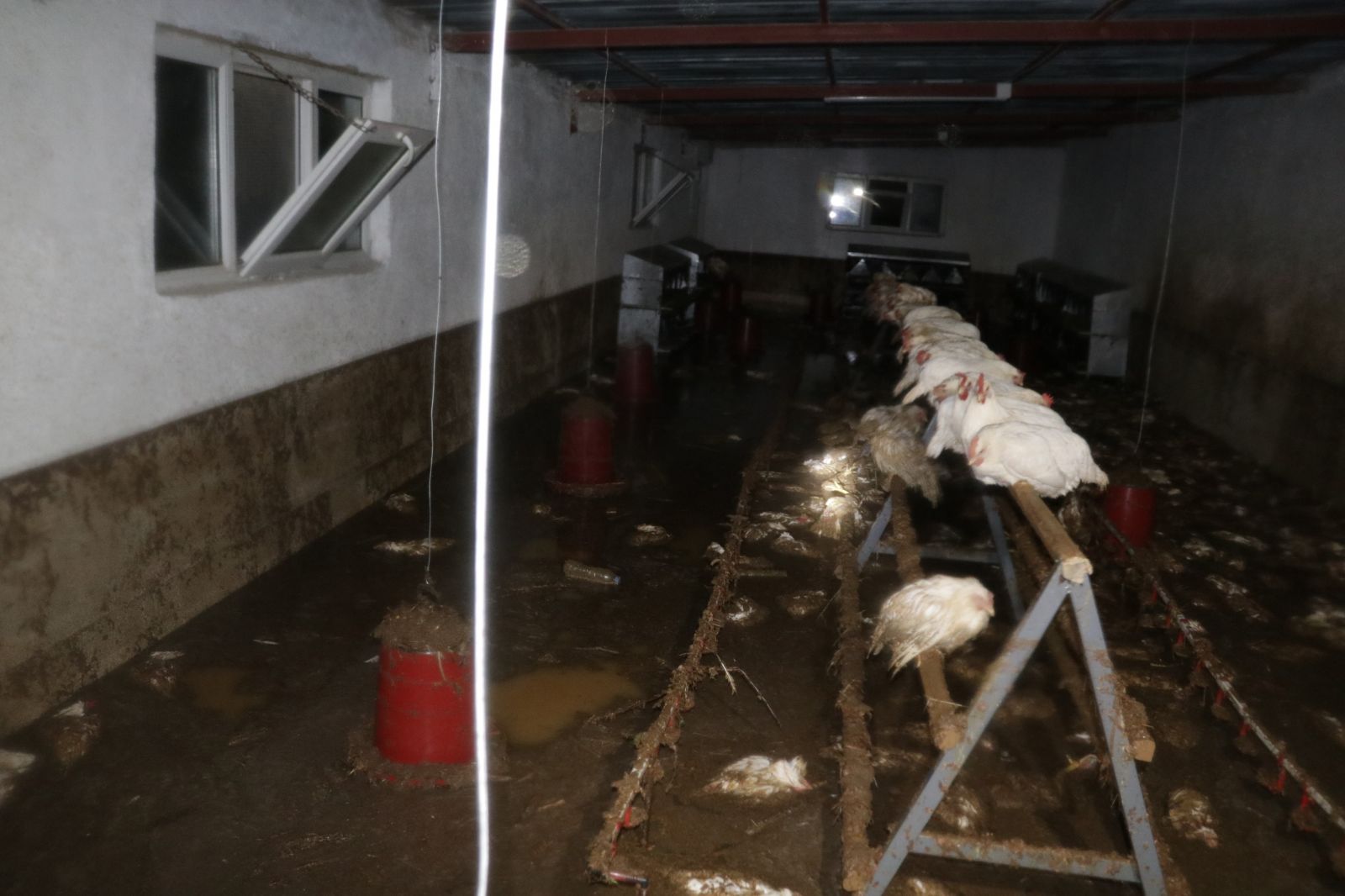 Yozgat’ta şiddetli yağış ekili alanlara zarar verdi Yozgat’ta şiddetli yağış ekili alanlara zarar verdi