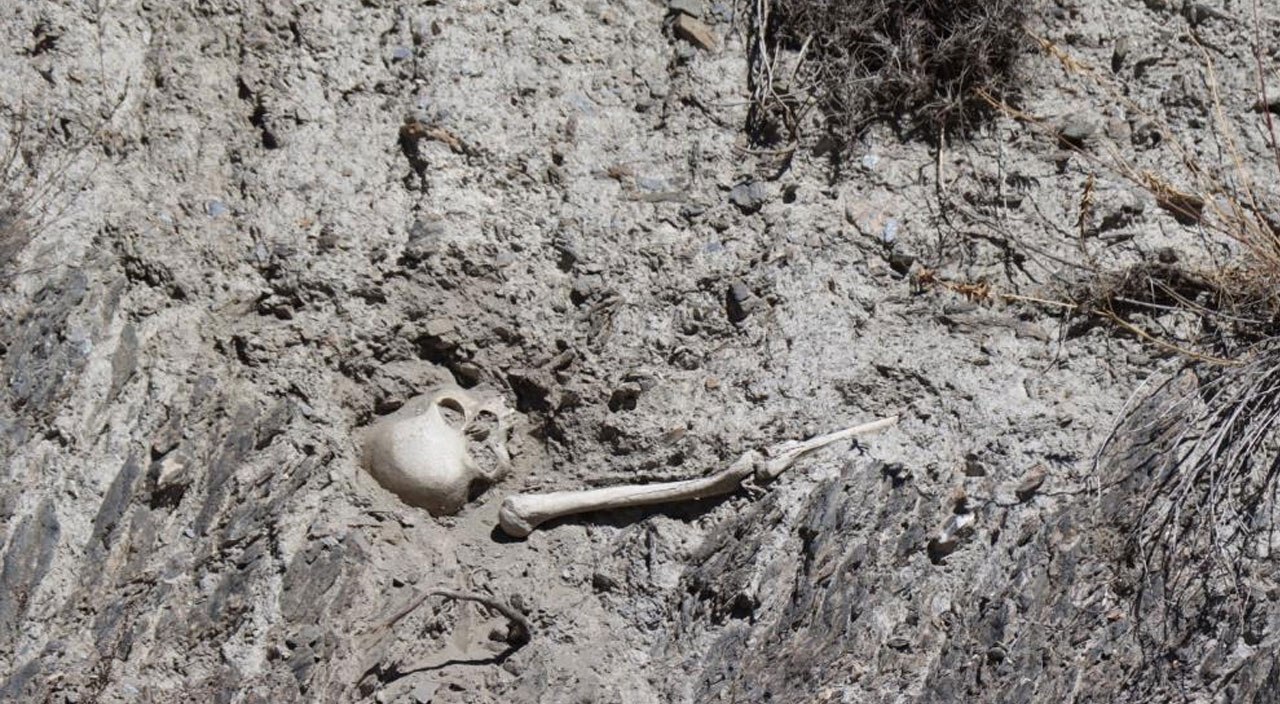 Esrarengiz iskelet Erzurum’u alarma geçirdi: Başka bir medeniyete ait olabilir