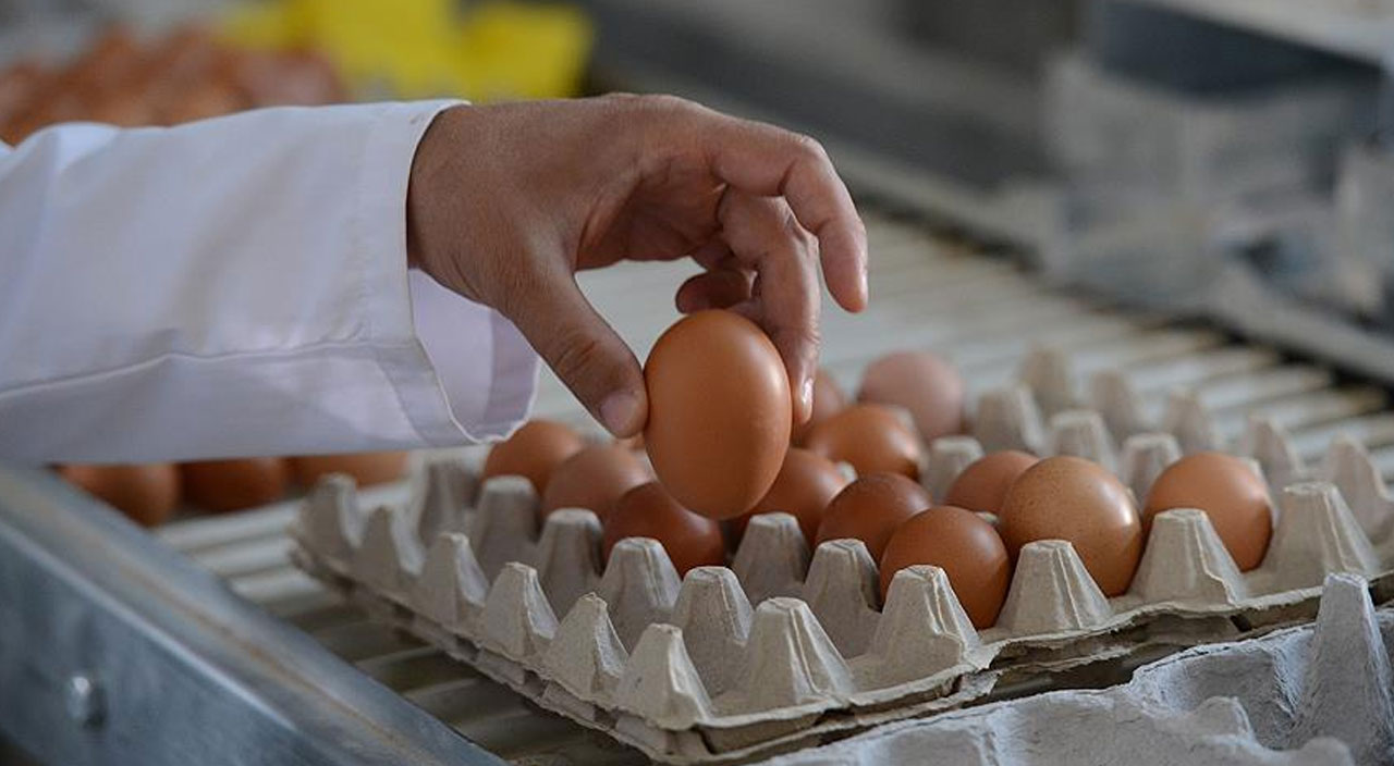 Her gün tüketiyoruz, risklerini bilmiyoruz! Adeta tehlike saçıyorlar