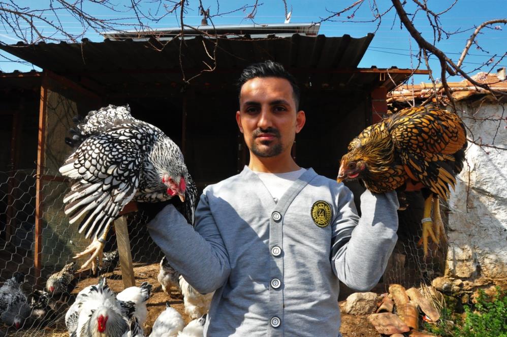 Amerika'dan getirttiği mavi yumurtalar hayatını değiştirdi