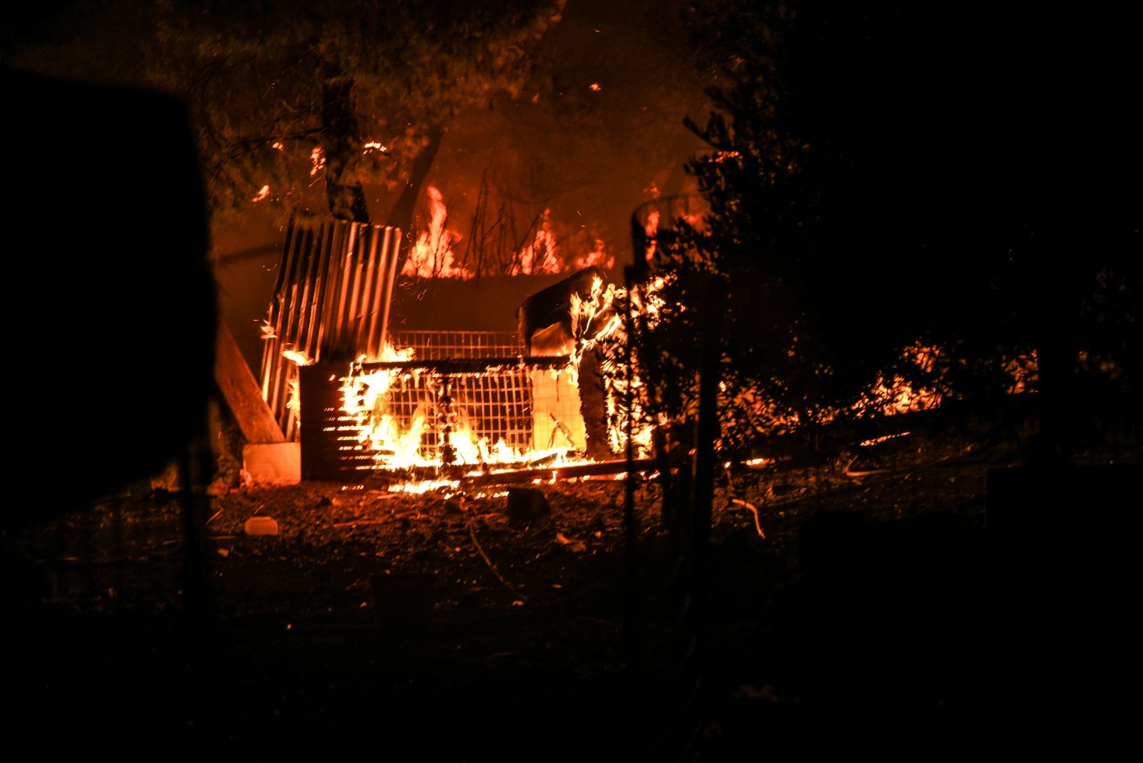 Yunanistan’daki orman yangını devam ediyor: 8 yaralı