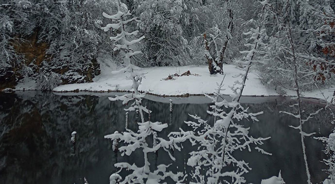 Yürüyüş yaparken üzerlerine ağaç düştü: 1 ölü, 1 yaralı
