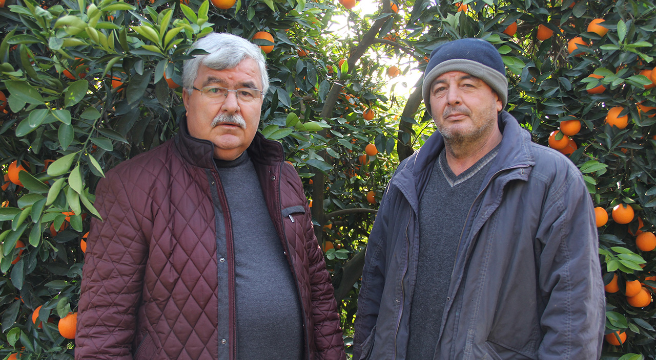 Dalında 1,5 TL, zincir markette 5,90!