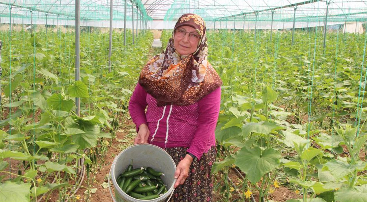 ​Tarlada 2 markette 10 lira: 40 kilometrede fiyat 5 kat artıyor