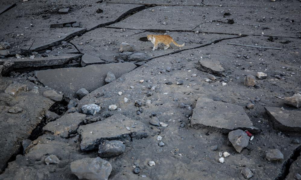 Yürek yakan görüntüler: İşgalci İsrail Gazze'yi talan ediyor