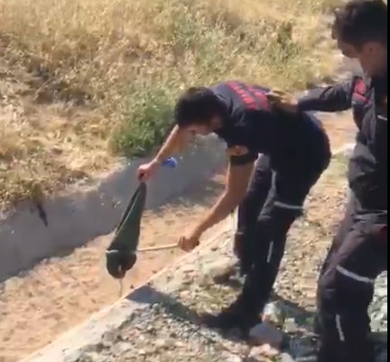 Panik anları! Aracının içine yılan kaçtı