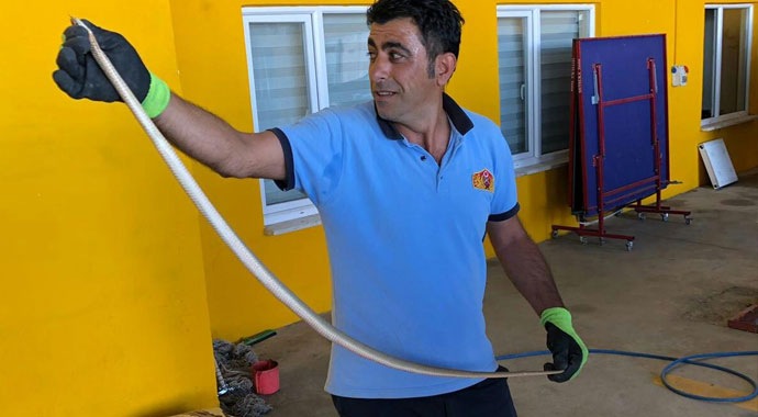 Araca giren yılan görenleri korkuttu
