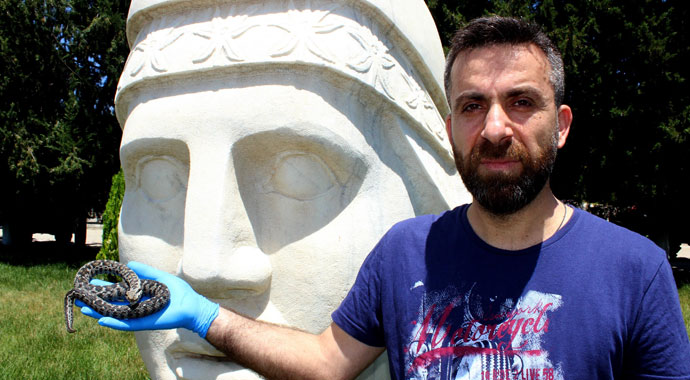 Nesli tehlikede olan yılan Nemrut Dağı’nda görüldü