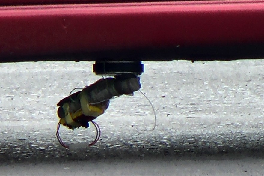 Zonguldak’ta bombalı araç paniği!