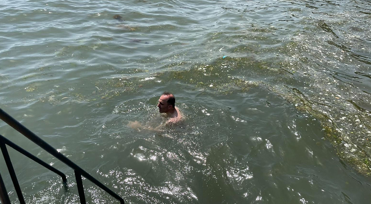 Zehirli denizanası Marmara kıyılarında görüldü! Uzmanlar uyarıyor: Sakın dokunmayın