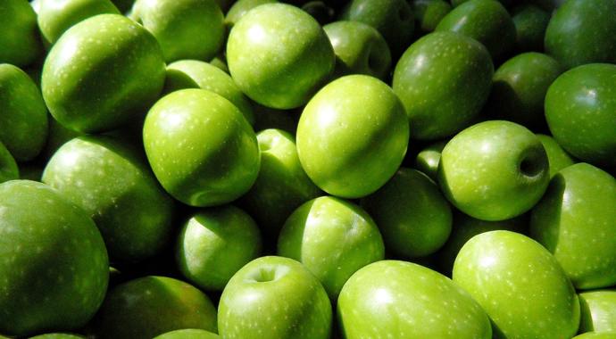 Yeşil zeytin, sofralık zeytin ihracatına damga vurdu