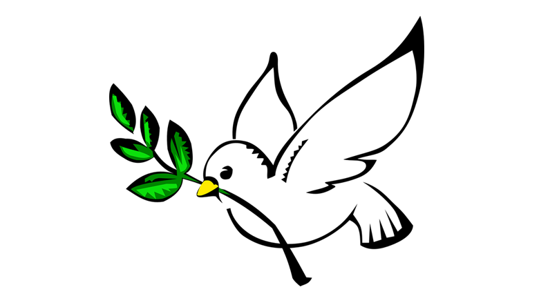 Afrin Operasyonunun Adı Neden Zeytin Dalı? | Zeytin Dalı Nedir?