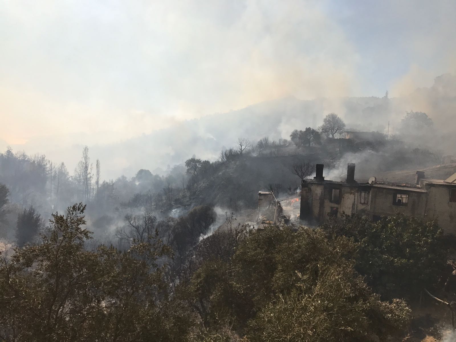Muğla'da çıkan yangın rüzgarın etkisiyle büyüyor