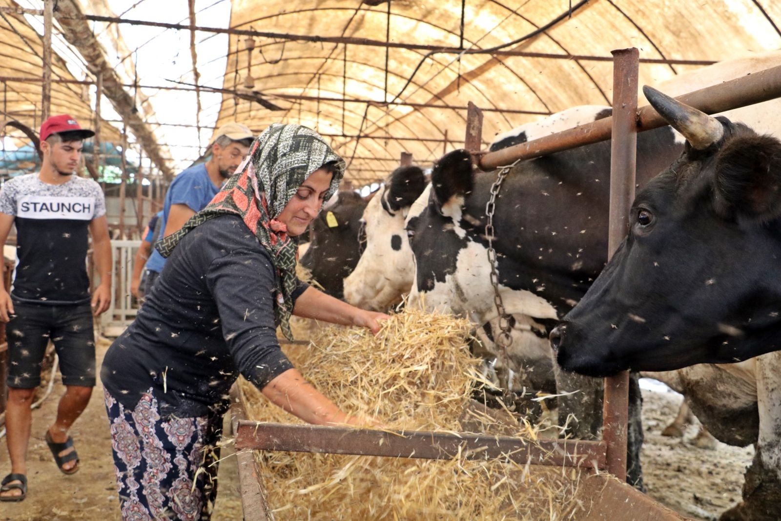 4 bilezikle girdiği hayvancılık işinde Kurban Bayramı öncesi servetine servet kattı